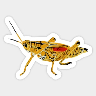 Eastern Lubber Grasshopper Sticker